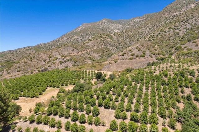 2289 Hermitage Rd, Ojai, CA 93023 - photo 45