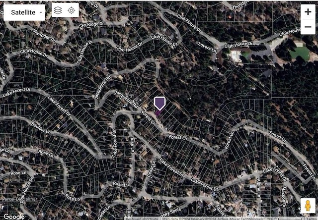 0 Forest Ln, Twin Peaks, CA 92391