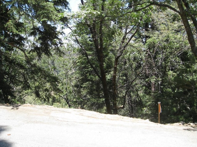 0 Forest Ln, Twin Peaks, CA 92391