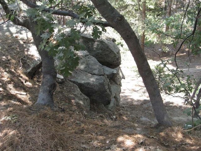 0 Forest Ln, Twin Peaks, CA 92391