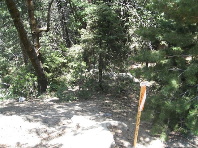 0 Forest Ln, Twin Peaks, CA 92391