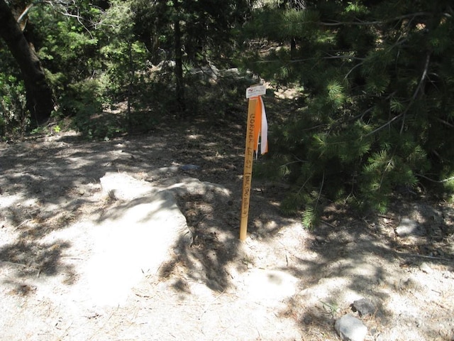 0 Forest Ln, Twin Peaks, CA 92391
