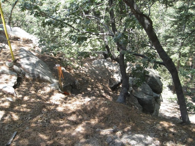 0 Forest Ln, Twin Peaks, CA 92391