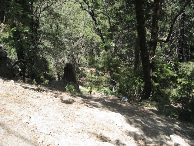 0 Forest Ln, Twin Peaks, CA 92391