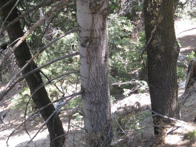0 Forest Ln, Twin Peaks, CA 92391