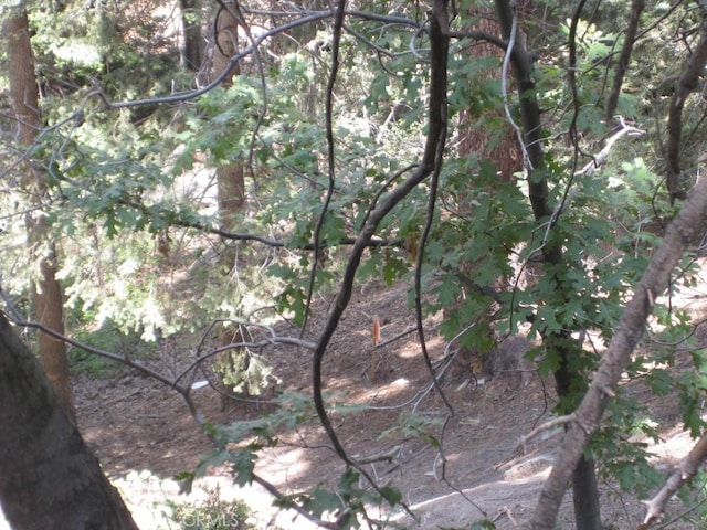 0 Forest Ln, Twin Peaks, CA 92391