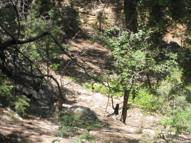 0 Forest Ln, Twin Peaks, CA 92391