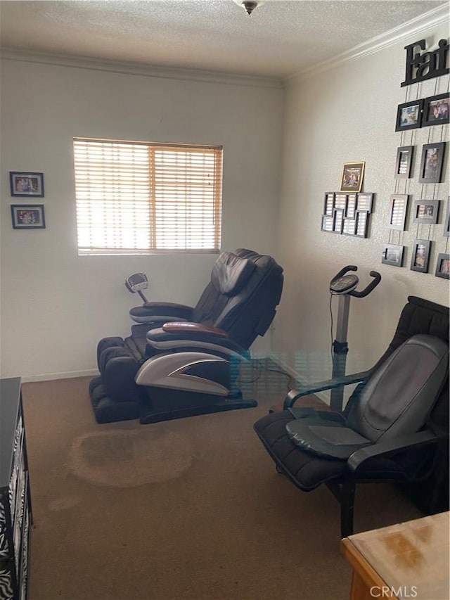 427 W 92nd St, Los Angeles, CA 90003 - sitting room with ornamental molding, a textured ceiling, and carpet flooring