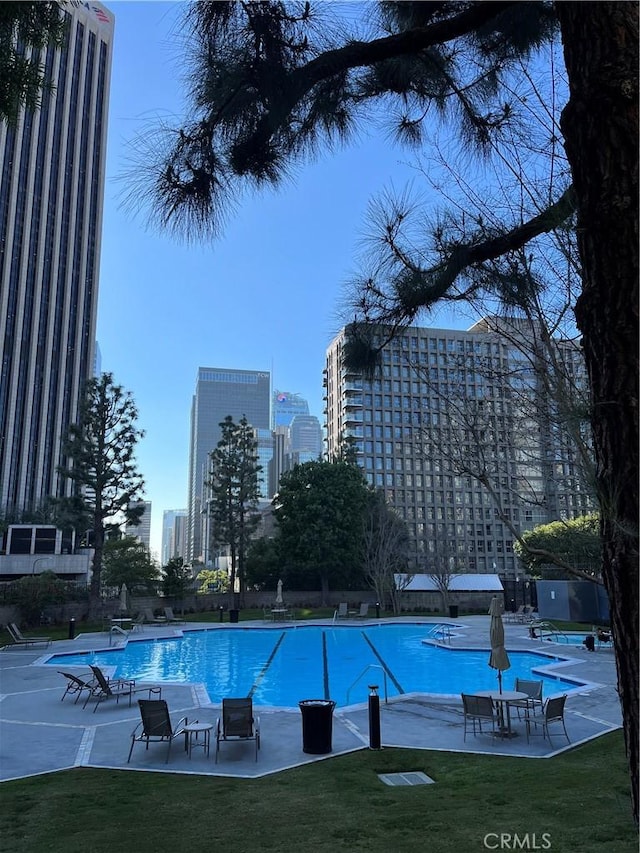 800 W 1st St Unit 2002, Los Angeles, CA 90012 - community pool featuring a lawn, a skyline view, and a patio