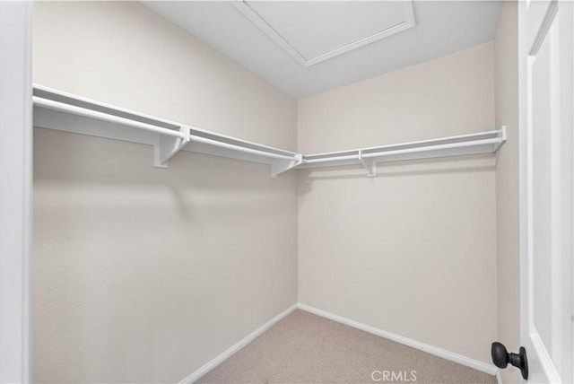 43441 30th St W Unit 3, Lancaster, CA 93536 - walk in closet featuring carpet