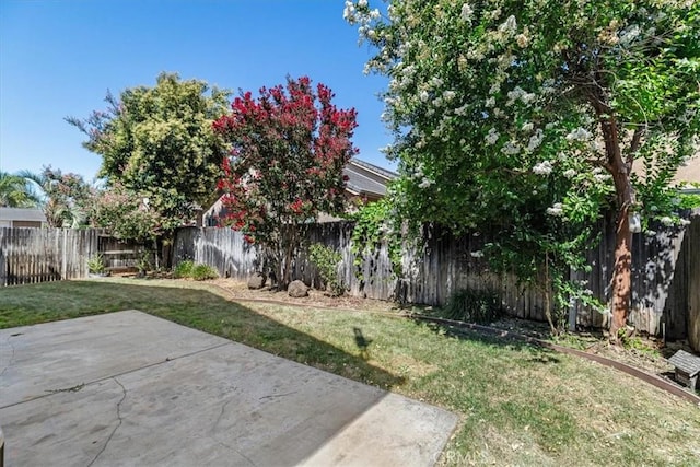 2520 Carnival Dr, Turlock, CA 95380 - photo 61