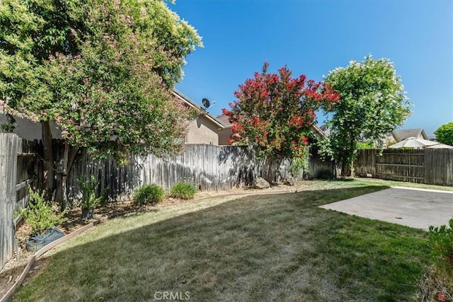 2520 Carnival Dr, Turlock, CA 95380 - photo 64