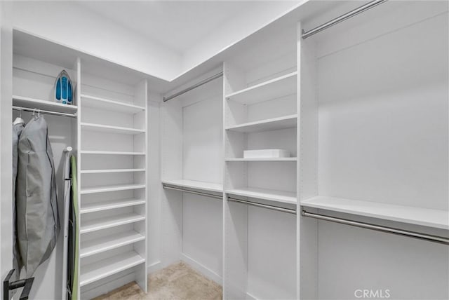 791 S Mosaic St, Anaheim, CA 92805 - view of spacious closet