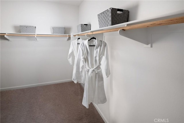 25172 Hunter Ave, Moreno Valley, CA 92551 - spacious closet with carpet floors