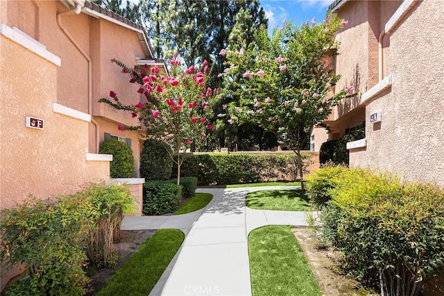 11289 Terra Vis Unit B, Rancho Cucamonga, CA 91730 - photo 4