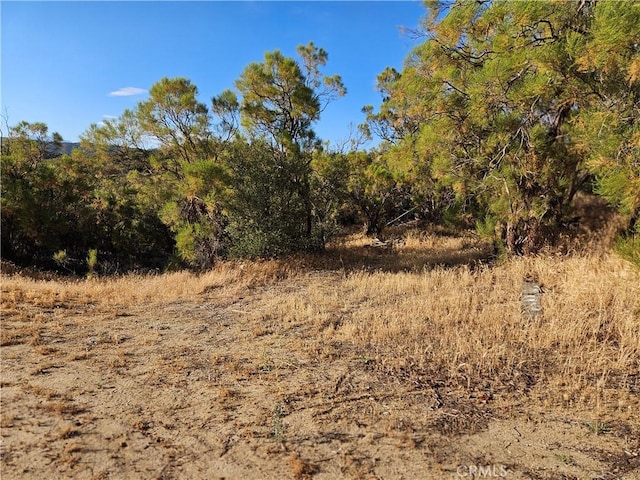59600 Burnt Valley Rd, Anza, CA 92539 - photo 20