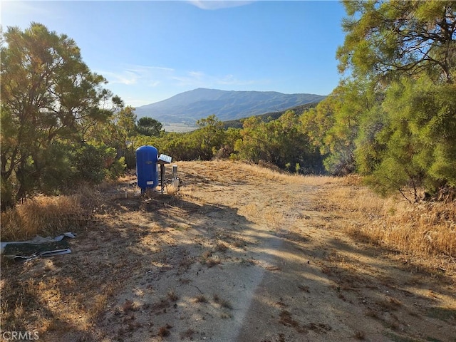 59600 Burnt Valley Rd, Anza, CA 92539 - photo 17