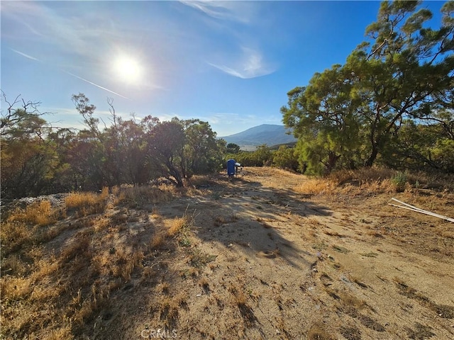 59600 Burnt Valley Rd, Anza, CA 92539 - photo 7
