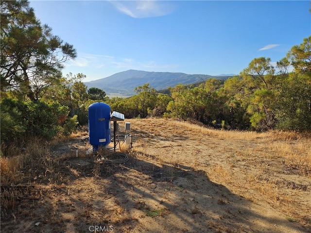 59600 Burnt Valley Rd, Anza, CA 92539 - photo 18