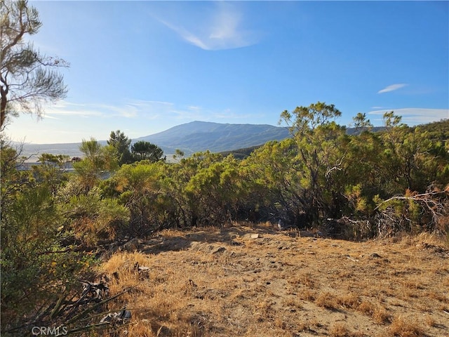 59600 Burnt Valley Rd, Anza, CA 92539 - photo 21