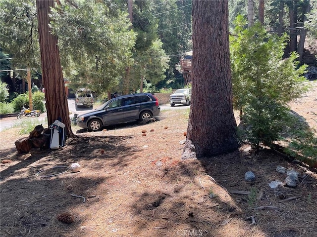 0 Cedar, Forest Falls, CA 92339
