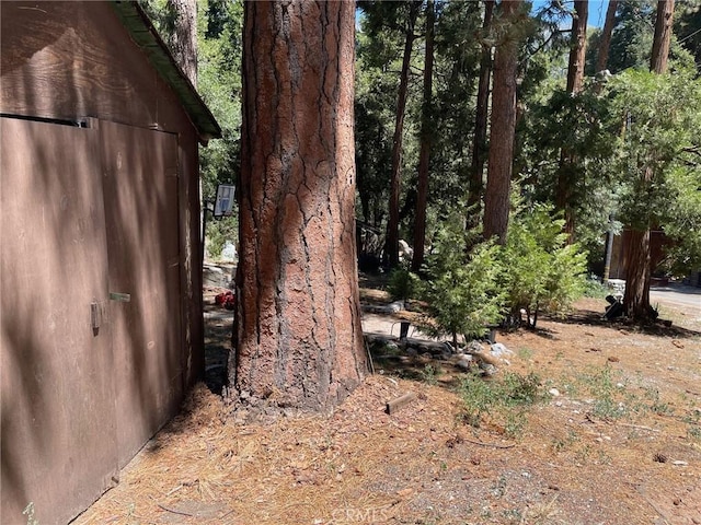0 Cedar, Forest Falls, CA 92339
