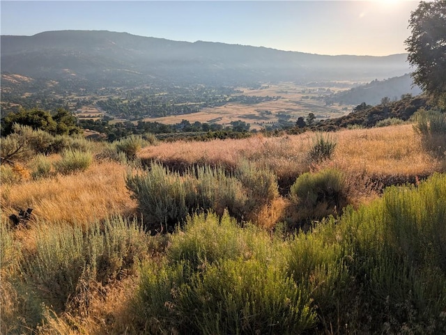 30700 Fox Ridge Ct, Tehachapi, CA 92561