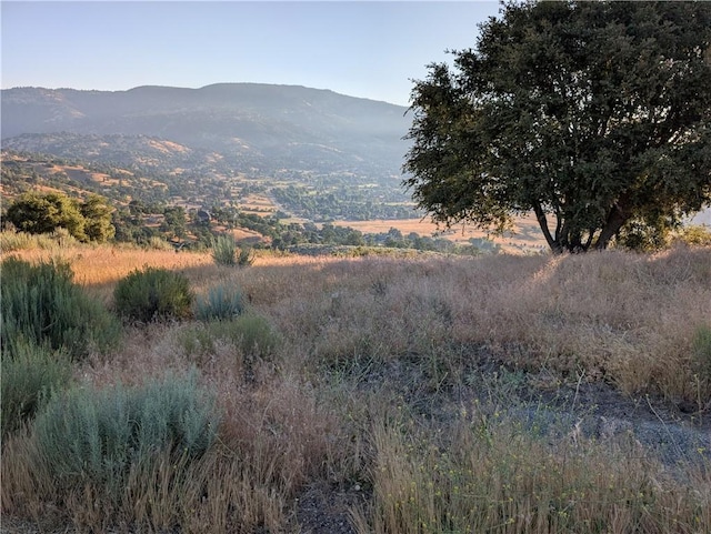 30700 Fox Ridge Ct, Tehachapi, CA 92561