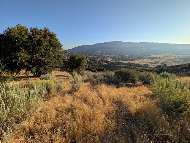 30700 Fox Ridge Ct, Tehachapi, CA 92561