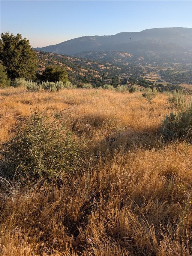 30700 Fox Ridge Ct, Tehachapi, CA 92561