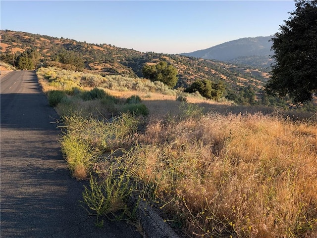 30700 Fox Ridge Ct, Tehachapi, CA 92561