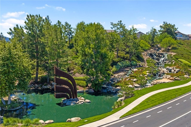 45339 Tiburcio Dr, Temecula, CA 92592 - drone / aerial view of a garden pond
