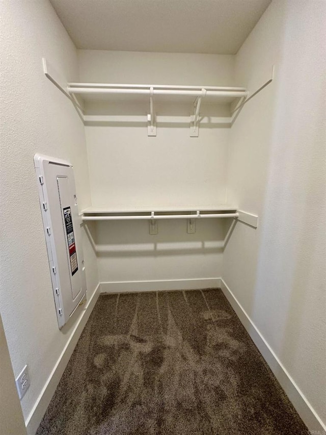2170 Birch Rd Unit 111, Chula Vista, CA 91915 - walk in closet with dark colored carpet