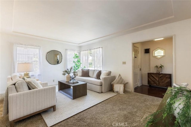 1137 Lafayette St, San Gabriel, CA 91776 - living area with carpet flooring and a tray ceiling
