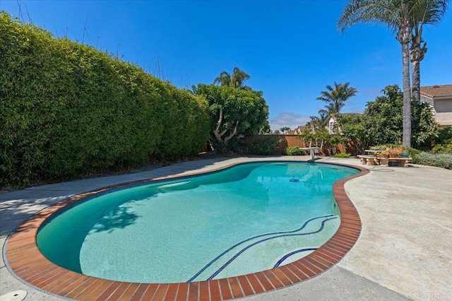 4635 Allende Ave, Oceanside, CA 92057 - view of pool with a patio, a fenced backyard, and a diving board
