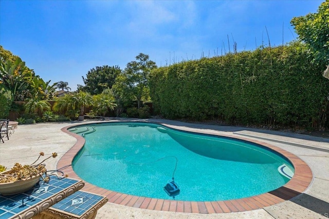 4635 Allende Ave, Oceanside, CA 92057 - view of swimming pool featuring a patio area