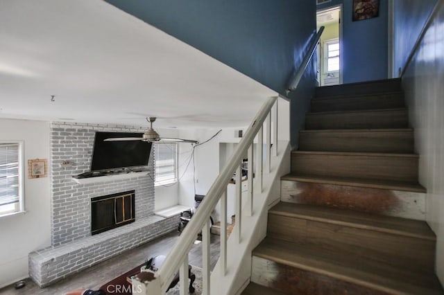 5317 Silver Dr, Santa Ana, CA 92703 - photo 23