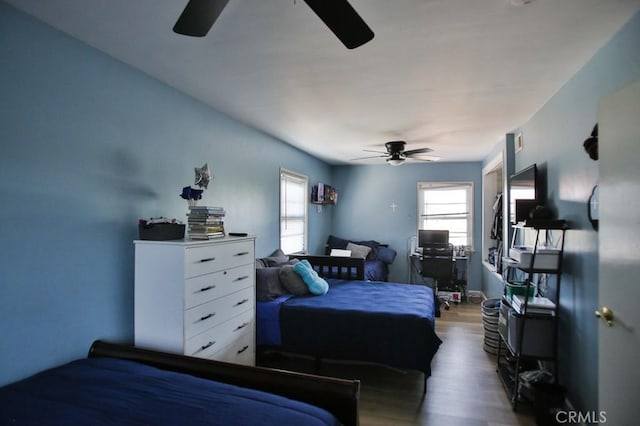 5317 Silver Dr, Santa Ana, CA 92703 - photo 31