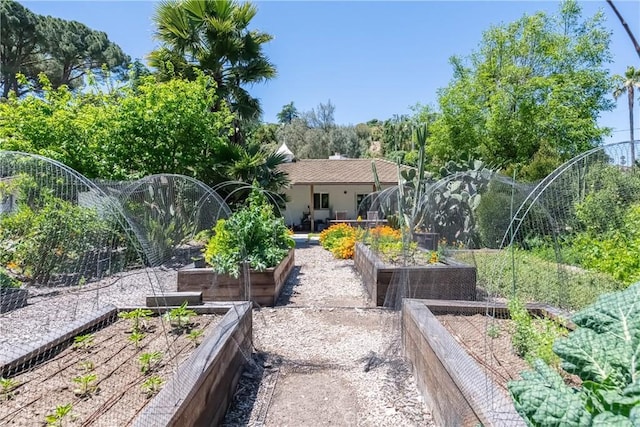 2 Chuckwagon Rd, Rolling Hills, CA 90274 - view of yard featuring a vegetable garden