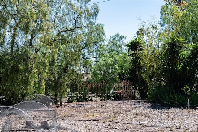 2 Chuckwagon Rd, Rolling Hills, CA 90274 - view of yard