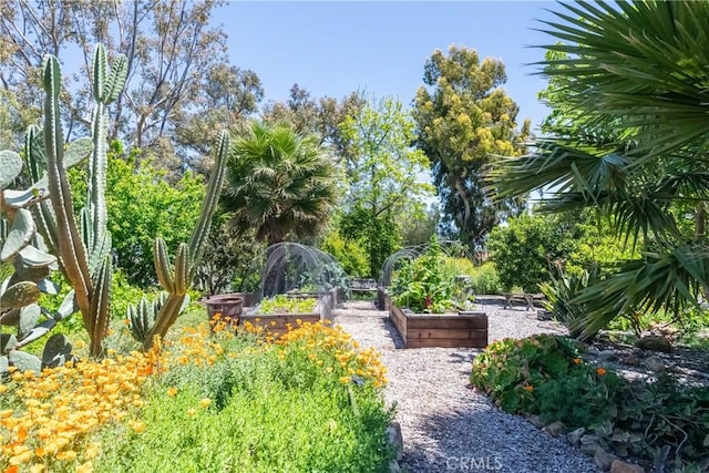 2 Chuckwagon Rd, Rolling Hills, CA 90274 - surrounding community with a vegetable garden