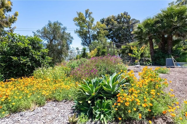 2 Chuckwagon Rd, Rolling Hills, CA 90274 - view of yard