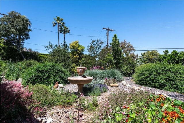 2 Chuckwagon Rd, Rolling Hills, CA 90274 - view of yard