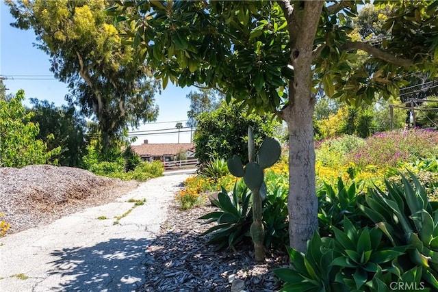 2 Chuckwagon Rd, Rolling Hills, CA 90274 - view of yard