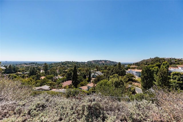 10551 Hillsboro Rd, North Tustin, CA 92705 - mountain view