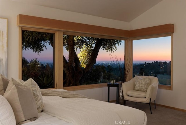 10551 Hillsboro Rd, North Tustin, CA 92705 - carpeted bedroom featuring lofted ceiling and baseboards
