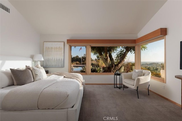 10551 Hillsboro Rd, North Tustin, CA 92705 - carpeted bedroom with lofted ceiling and multiple windows