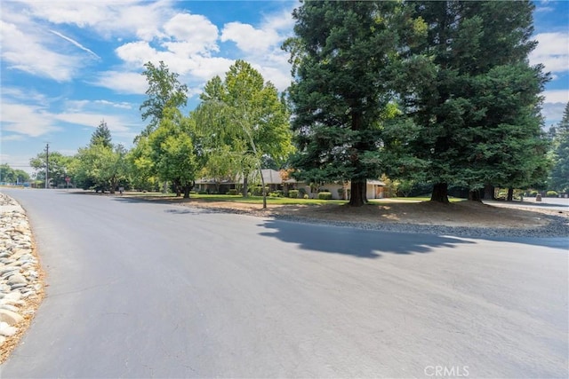 2535 G Warren Dr, Durham, CA 95938 - photo 49