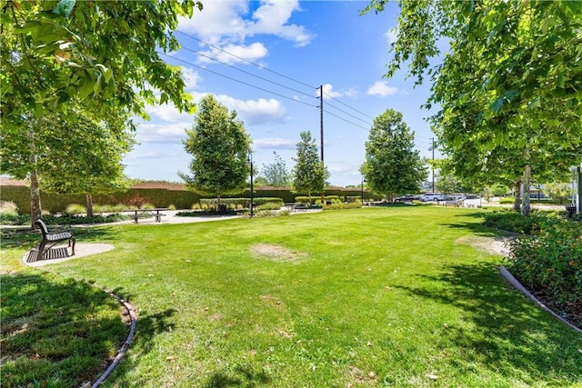 1166 Newberry Ln Unit 1, Claremont, CA 91711 - view of green lawn