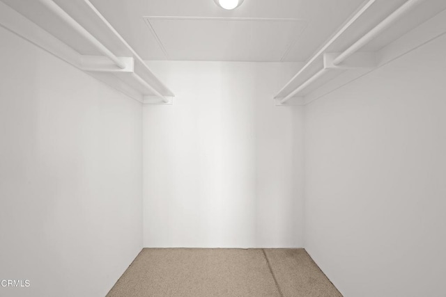 800 W 1st St Unit 1701, Los Angeles, CA 90012 - spacious closet featuring carpet floors